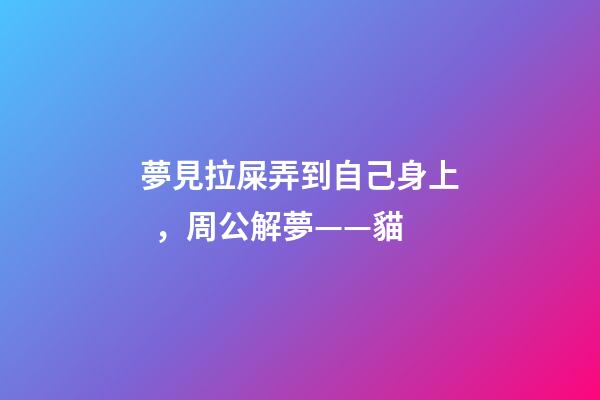 夢見拉屎弄到自己身上，周公解夢——貓